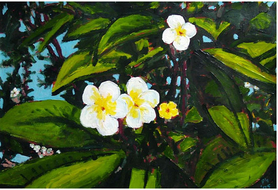 Peter Gowans - artist